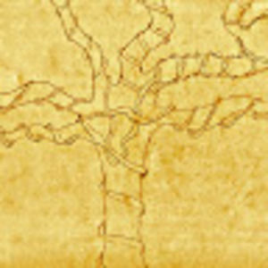 Meet your Posher, Linn